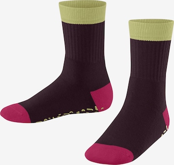 ESPRIT Socken 'Cozy Memphis' in Rot: Vorderseite
