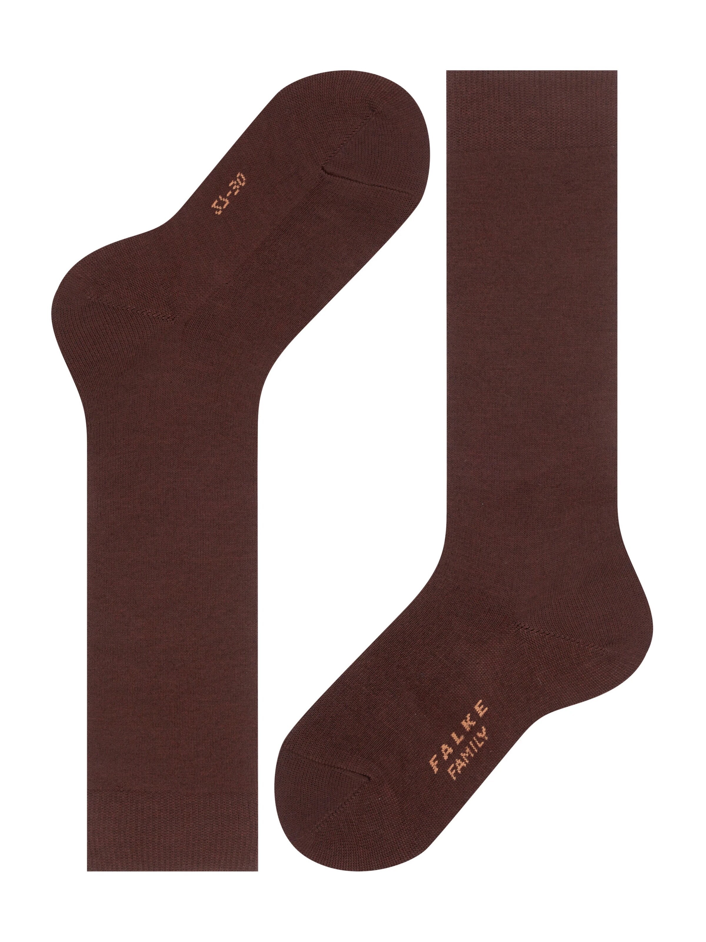 FALKE Socks 'Family' in Brown
