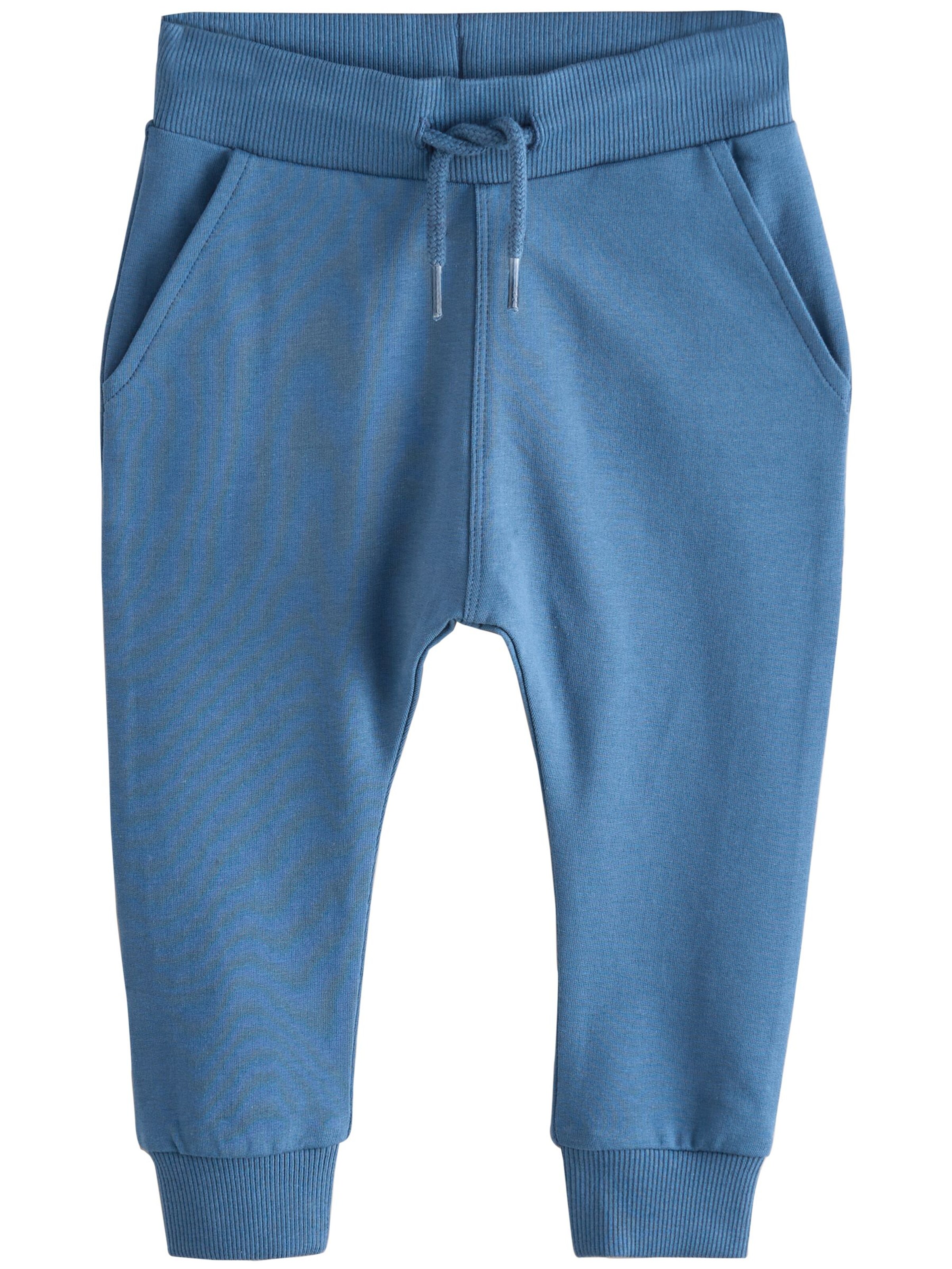 Next Tapered Pants in Blue