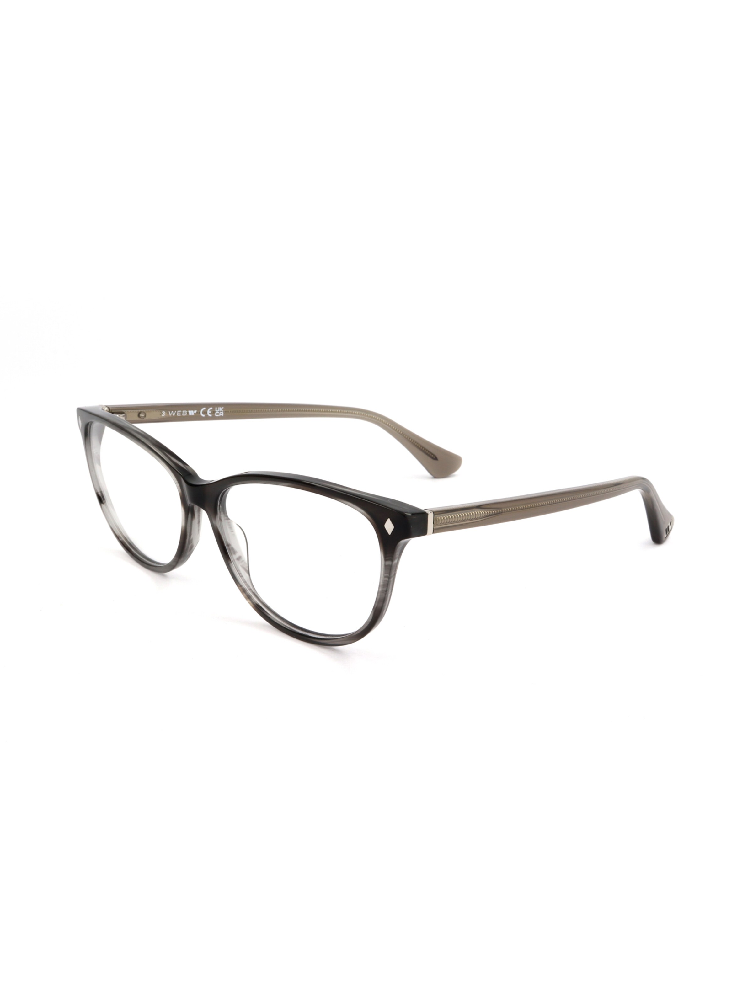 Occhiali 'WE5392' di Web Eyewear in grigio: frontale