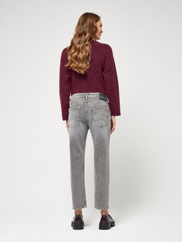 Regular Jean '94Nica' Gang en gris