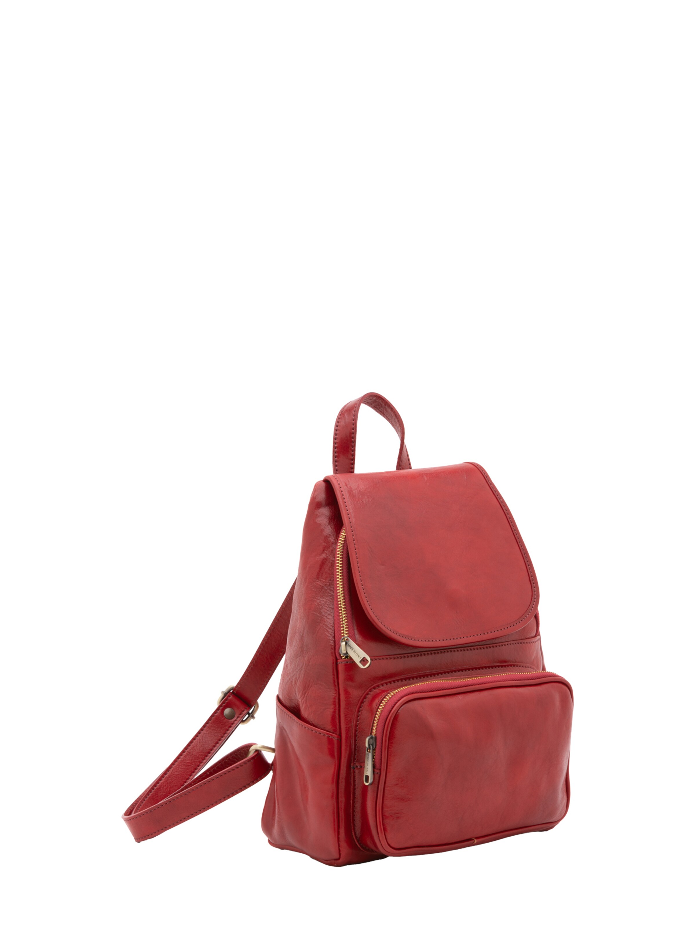 Viola Castellani Rucksack in Rot: Vorderseite