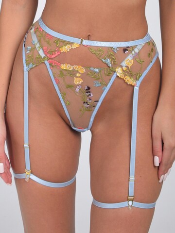 Orchibelle Bralette Underwear Sets in Blue