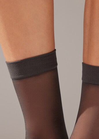 CALZEDONIA Socken in Braun