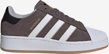 ADIDAS ORIGINALS Sneaker 'Superstar' in Braun