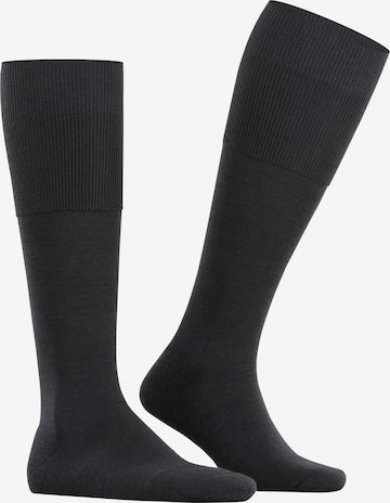 FALKE Knee High Socks 'Airport Plus' in Black: front