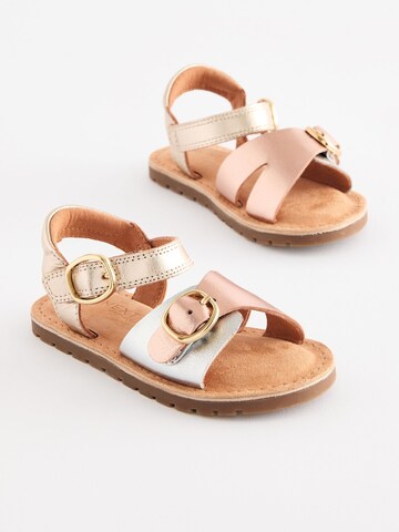 Next - Sandalias en Mezcla de colores