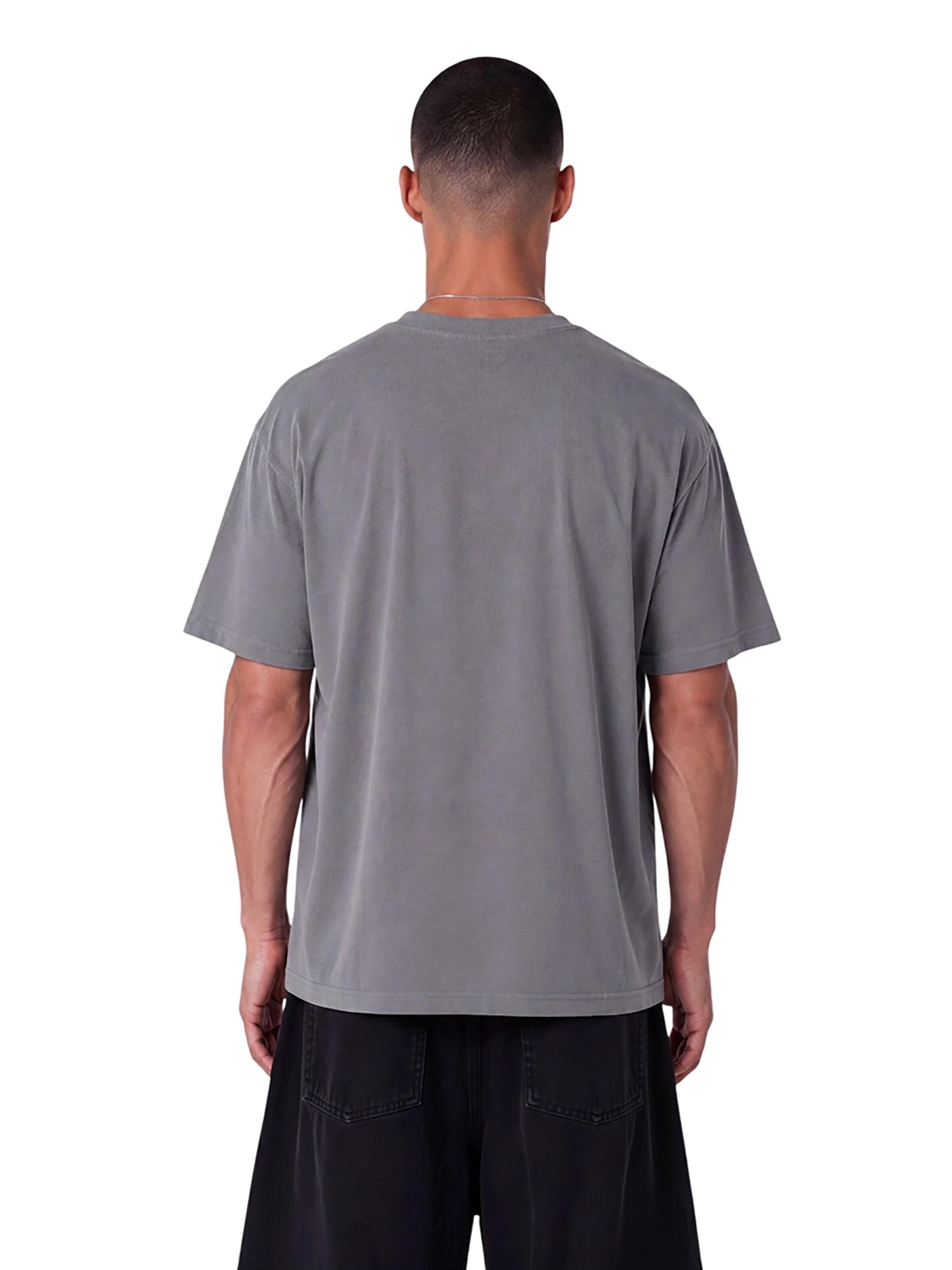 Colucci Shirt 'College Logo' in Grey