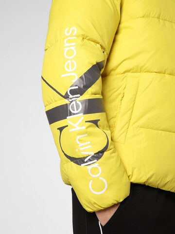 Calvin Klein Jeans Winter Jacket in Yellow