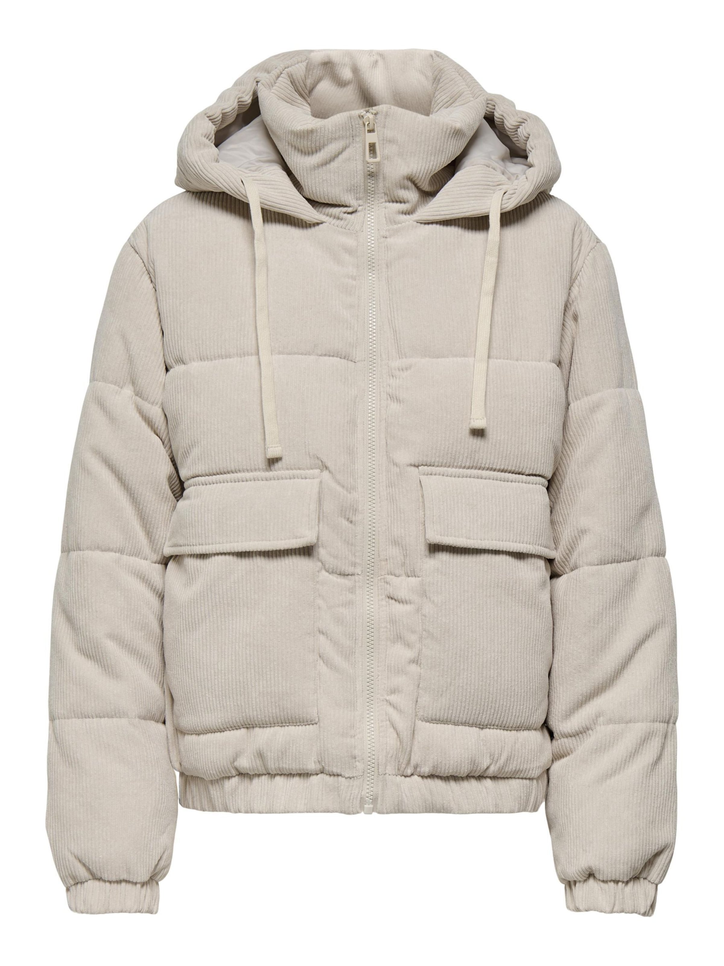 Giacca invernale 'ONLEvi' di ONLY in grigio: frontale