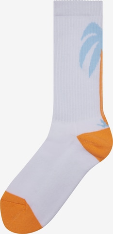 Chaussettes 'Fancy Palmtree' Mister Tee en mélange de couleurs