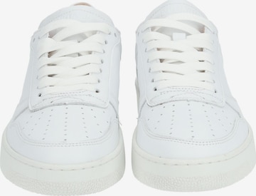 Baskets basses LLOYD en blanc