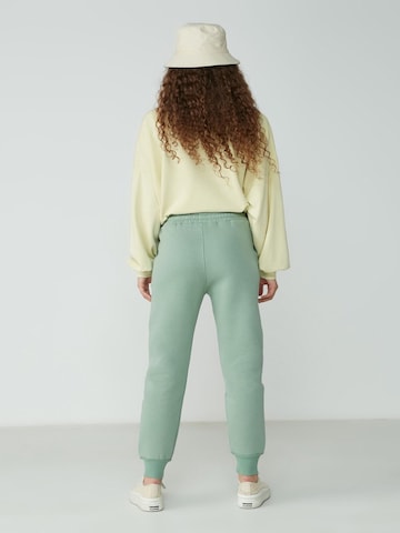 C&City Tapered Trousers in Green