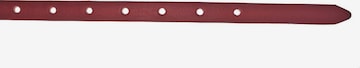 VANZETTI Belt in Red