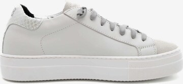 P448 Sneakers 'Bthea ' in White
