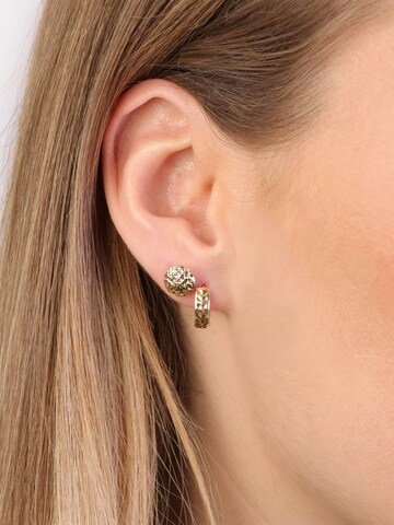 Lucardi Ohrringe in Gold