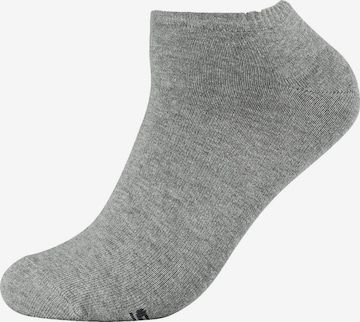 SKECHERS Socks 'Jacksonville' in Grey