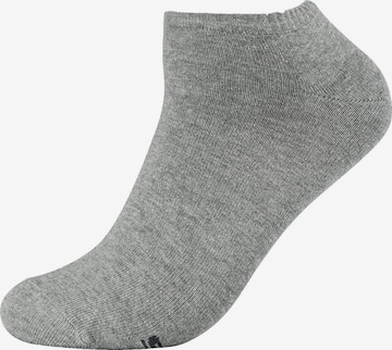 SKECHERS Socken 'Jacksonville' im 18er-Pack in Grau