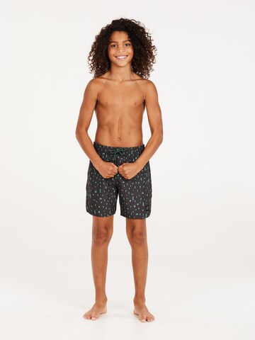 PROTEST Board Shorts 'PRTSAUL JR' in Grey