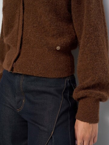 Salsa Jeans Pullover in Braun