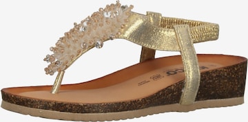 IGI&CO T-Bar Sandals in Gold: front