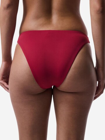 Slip costum de baie 'Bikinihosen' de la Penti pe roșu