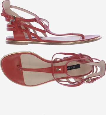 PATRIZIA PEPE Sandals & High-Heeled Sandals in 36 in Red: front