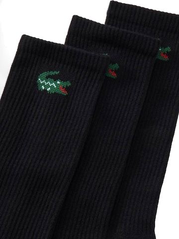 Calzino '6PK BLACK' di LACOSTE in nero