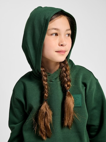 Hummel Sports sweatshirt 'Clean' in Green