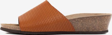 Bayton Mule 'Ventura' in Brown: front