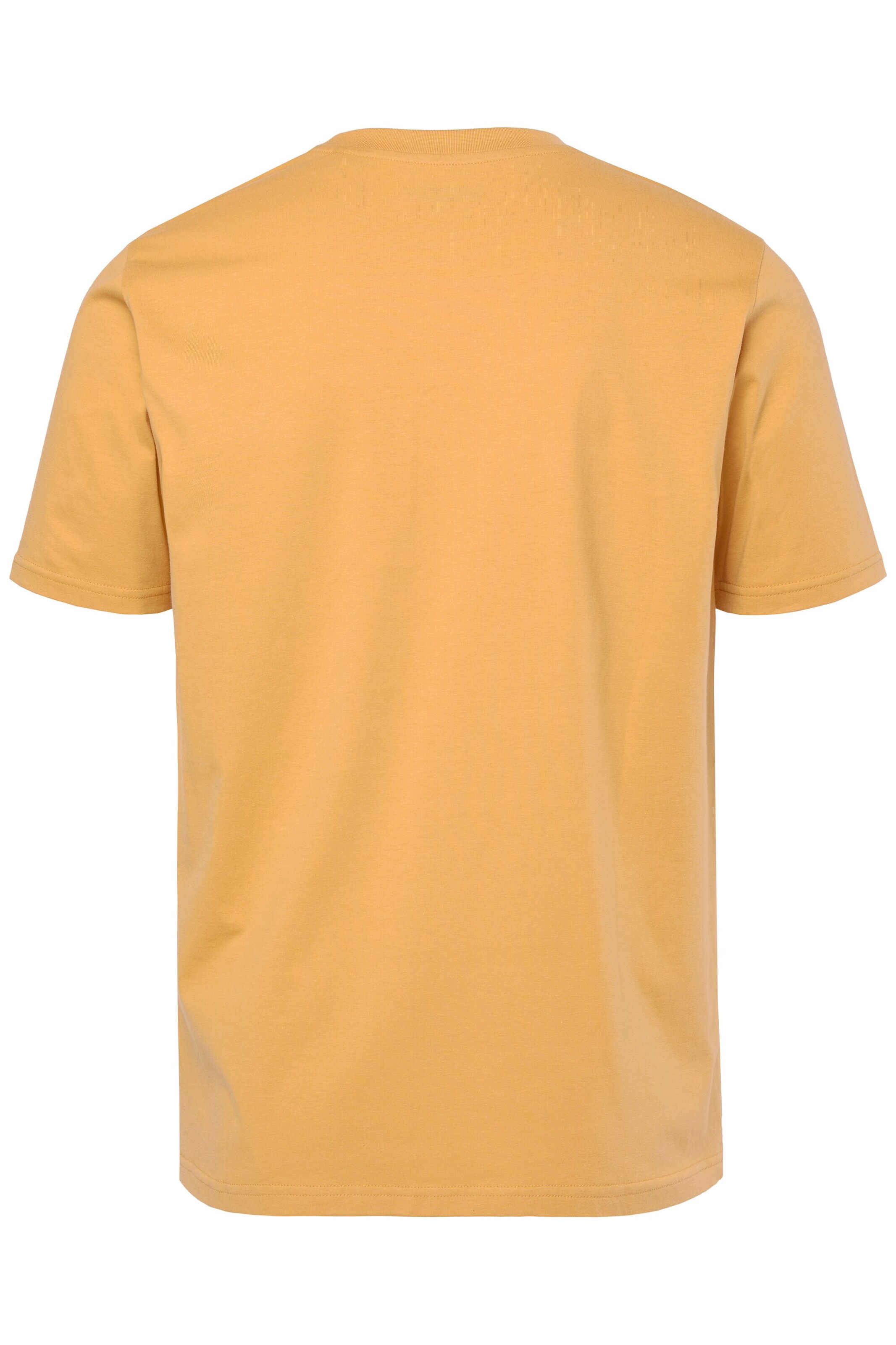 Men Plus Shirt in Orange