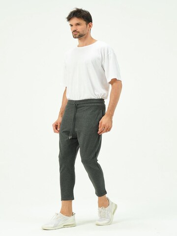 C&City Tapered Pants in Grey