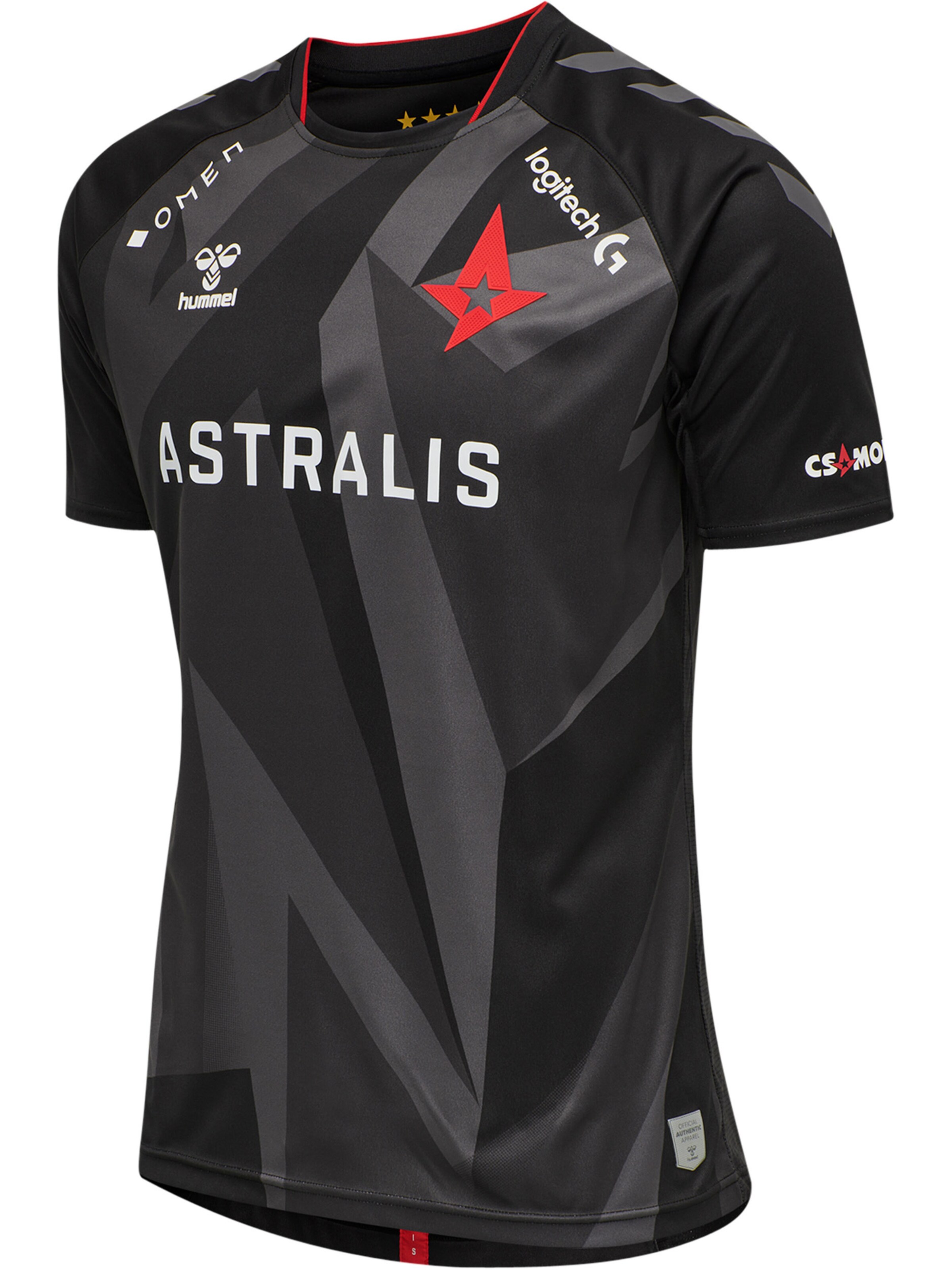 Hummel Funktionsskjorte 'ASTRALIS 20/21' i sort