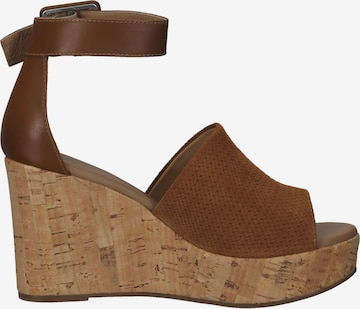 Nero Giardini Sandals in Brown