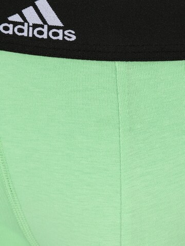 ADIDAS SPORTSWEAR Sports underpants in Blue