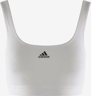 ADIDAS SPORTSWEAR Bustier Sport bh ' Sport Solid Cotton ' in Wit: voorkant