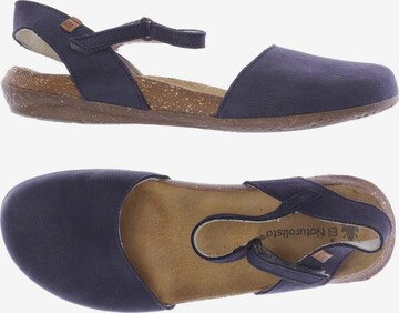 EL NATURALISTA Sandals & High-Heeled Sandals in 37 in Blue: front