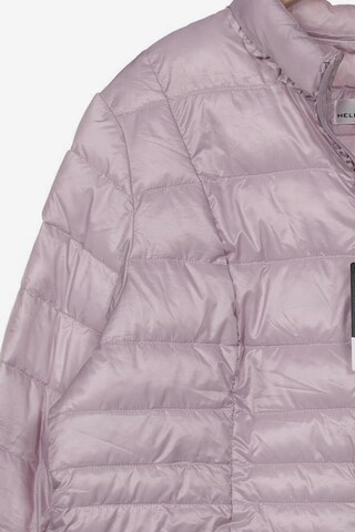 Helena Vera Jacket & Coat in XL in Purple