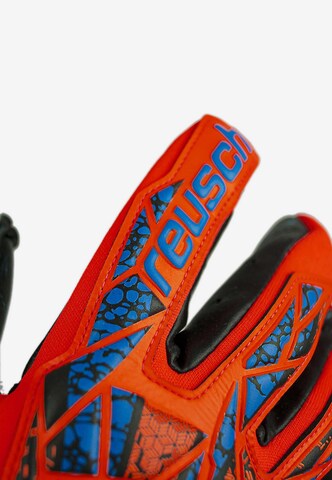 REUSCH Athletic Gloves 'Attrakt Fusion Guardian' in Blue