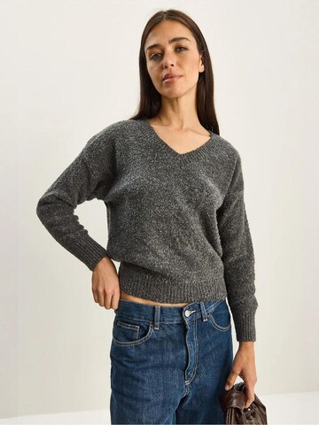 Bianco Lucci Pullover in Grau