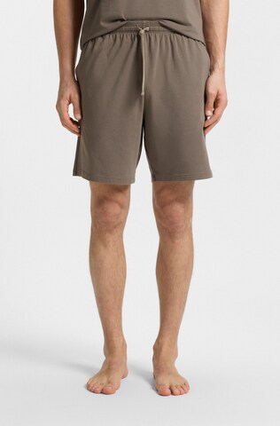 BOSS Regular Pants in Brown: front