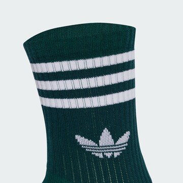ADIDAS ORIGINALS Socks in Brown