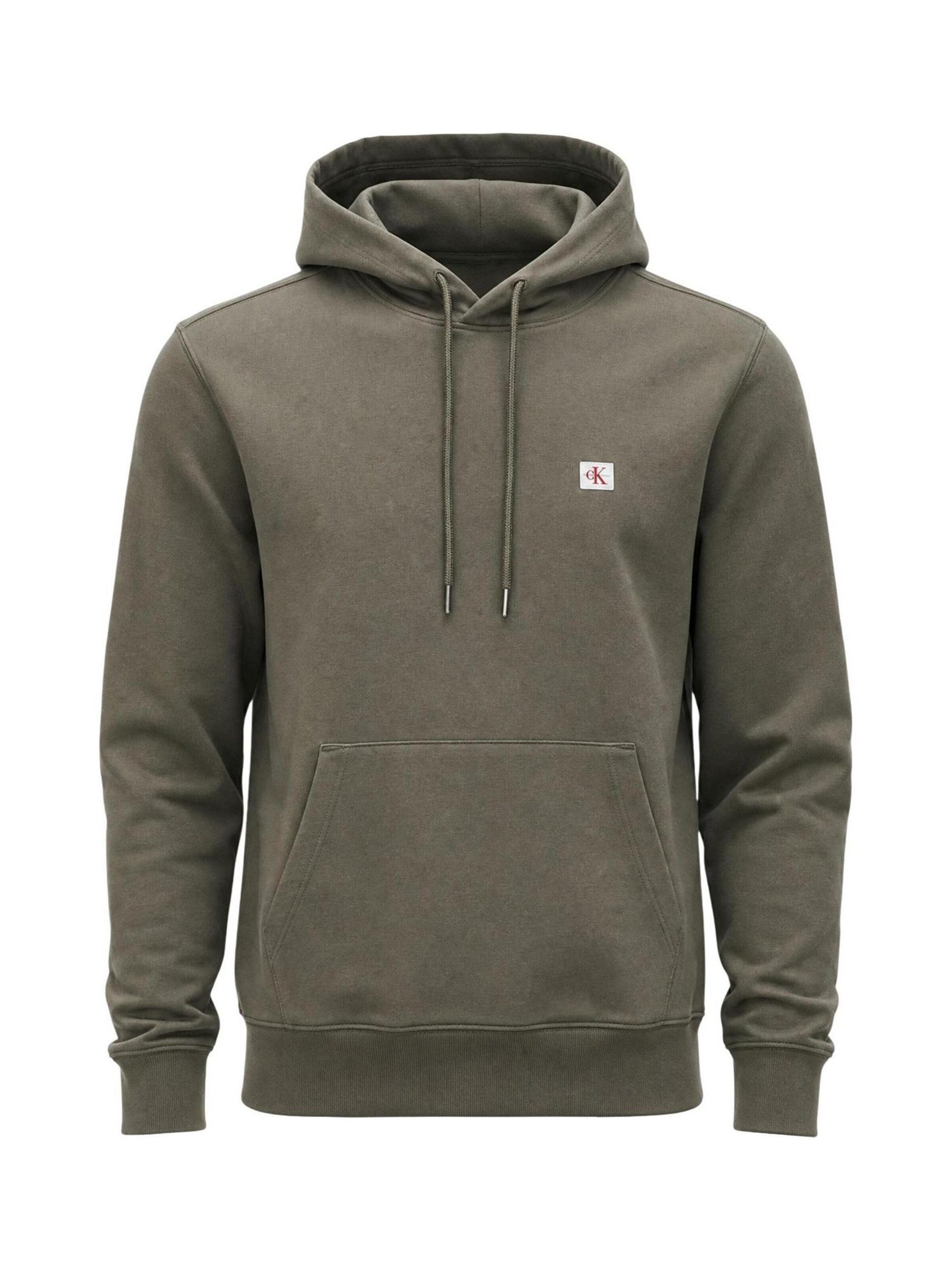 Calvin Klein Jeans Trui 'LV04RG269G' in Groen: voorkant