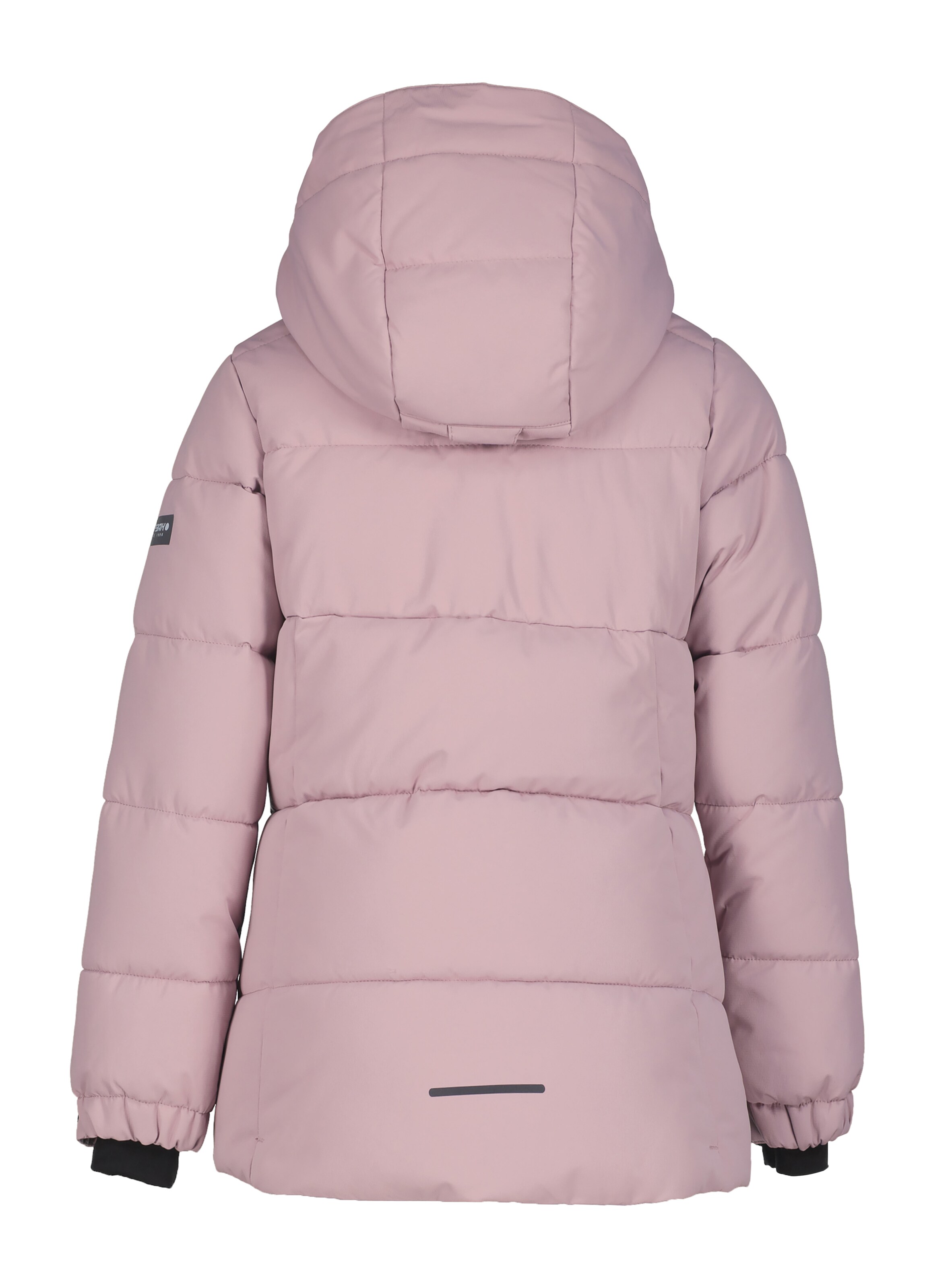 ICEPEAK Athletic Jacket 'Loris' in Pink