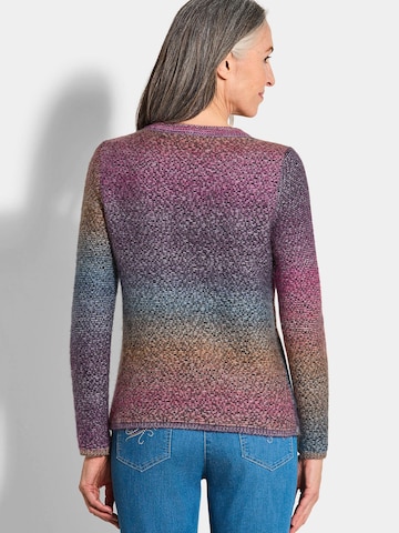 Goldner Sweater in Mixed colours