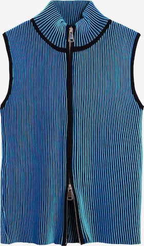 mėlyna Desigual Marškinėliai: priekis