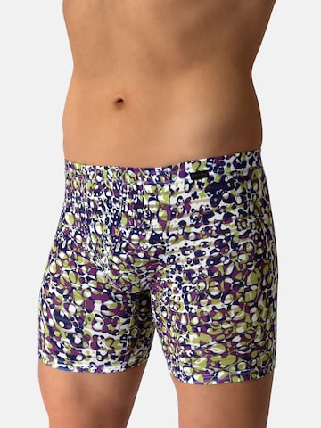 Boxers 'RED2610' Olaf Benz en violet : devant