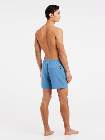 PROTEST Badeshorts 'DAVEY' in Blau