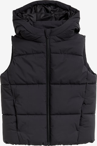 TOM TAILOR - Colete em cinzento: frente