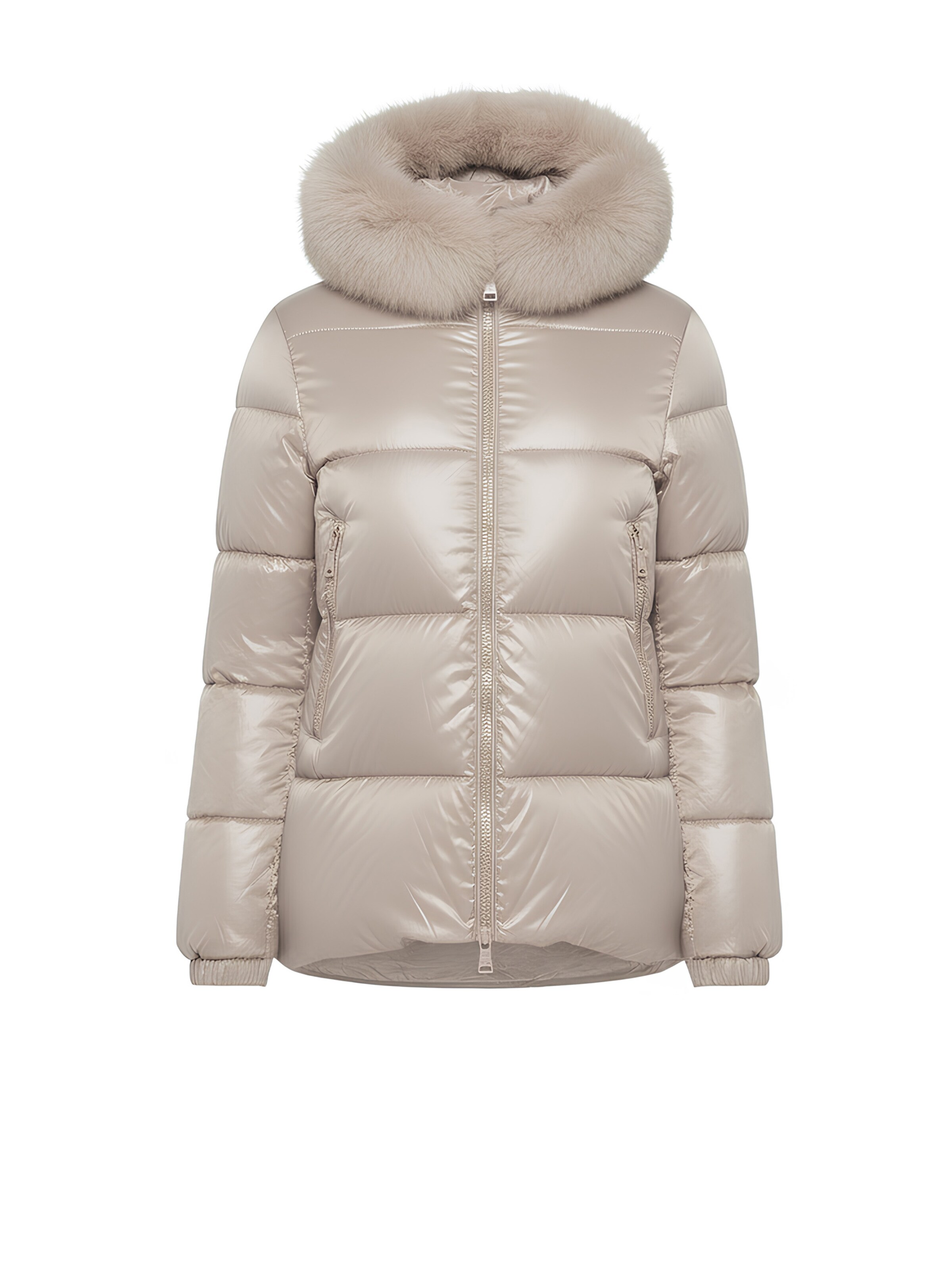 Giacca invernale 'Aspen Jkt N726' di Artika Icewear in beige: frontale